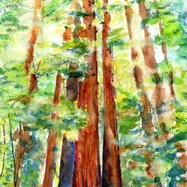 Sunlight through Redwood Trees by Carlin Blahnik CarlinArtWatercolor