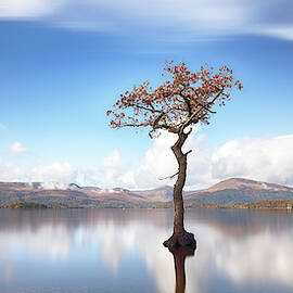 Sunny afternoon on Loch Lomond by Grant Glendinning