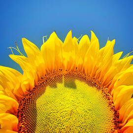 Sunny Day by Duluth To Door County Photography