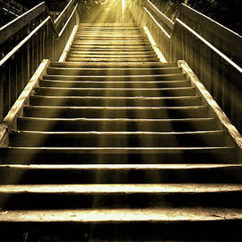 Sunray Stairs by Denise Taylor