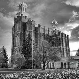 Sunset Over The Logan Temple Black And White by Adam Jewell
