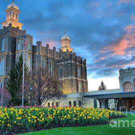 Sunset Over The Logan Temple Grounds by Adam Jewell