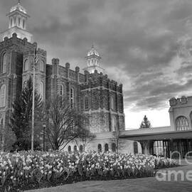 Sunset Over The Logan Temple Grounds Black And White by Adam Jewell