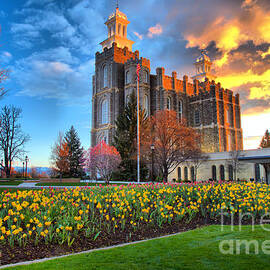 Sunset Over The Logan Utah Temple by Adam Jewell