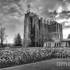 Sunset Over The Logan Utah Temple Black And White by Adam Jewell