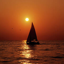 Sunset Sail by Tammy616