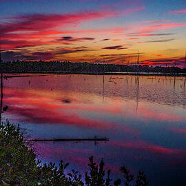 Sunset in the Pines Lands by Louis Dallara