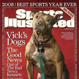 Sweet Jasmine, Michael Vicks Pit Bull Dogs Sports Illustrated Cover by Sports Illustrated