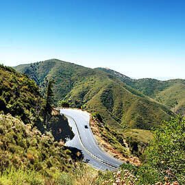 Take the High Road by Alison Frank