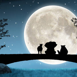 Tales about the Moon by Moira Risen