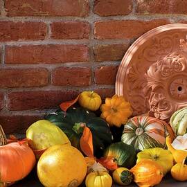 Terracotta Rosette, Pumpkins And Squashes By Brick Wall by Strauss, Friedrich