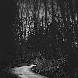 That Lonesome Road by Scott Norris