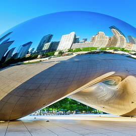 The Bean In Chicago by Mackie Tom