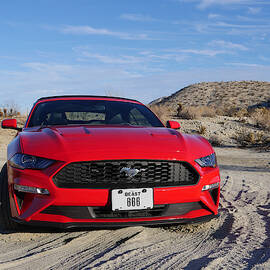 The Beast by Richard Reeve