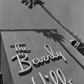 The Beverly Hills Hotel by George Rose