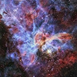 The Carina Nebula, Also Known As Ngc by Stocktrek Images
