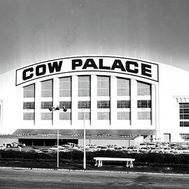 The Cow Palace In San Francisco Bay by American Stock Archive