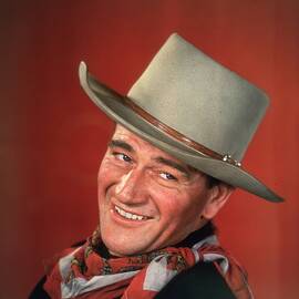 The Duke by Hulton Archive