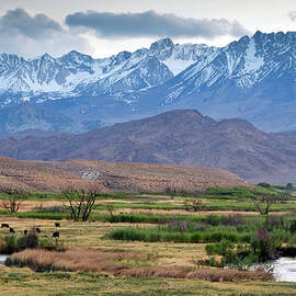 The Eastern Sierra Nevada Mountains by Rachid Dahnoun