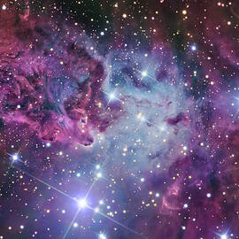 The Fox Fur Nebula by Stocktrek Images