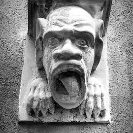 The Gargoyle of Cologne Germany by Mary Lee Dereske