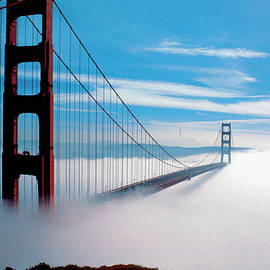 The Golden Gate Bridge In Fog In San by Medioimages/photodisc