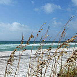 The Gulf Of Mexico In Penascola Florida by Skodonnell