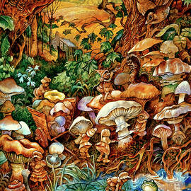 The Mushroom Fairies by Bill Bell