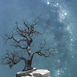 The night after by Moira Risen