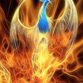 The Phoenix rises from the ashes by John Edwards