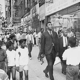 The Pied Piper Of Harlem, Cassius Clay by New York Daily News Archive