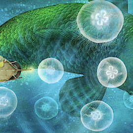 The Sea of Moon Jellies by Eric Fan