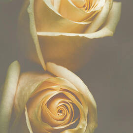 The soft shadows by Jorgo Photography