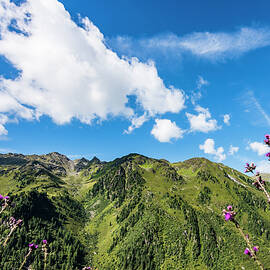 The Tux Alps In Summer With Sunshine, Zell Am Ziller, Zillertal, Tyrol, Austria by Helge Bias