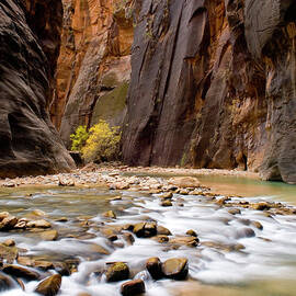 The Virgin River Flowing Through The by Alan Majchrowicz