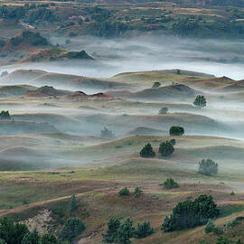 Theodore Roosevelt Natl Park by Mark Newman