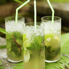 Three Mojito Cocktails On Fern by Huerta Anna