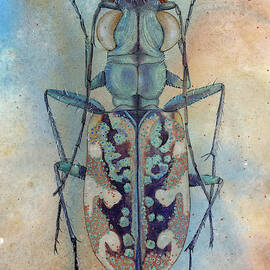 Tiger Beetle by Marie Stone-van Vuuren