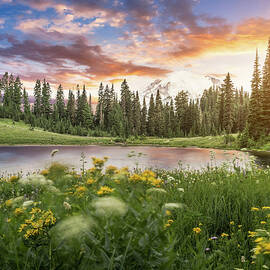 Tipsoo Lake Of Mt.rainier by Chinaface