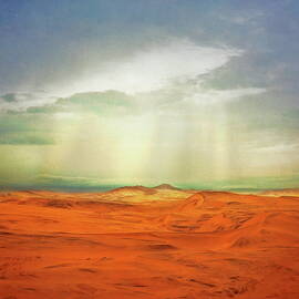 Touched By Light by By Sigi Kolbe