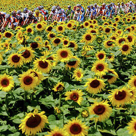 Tour De France 2009 Stage Eleven by Jasper Juinen
