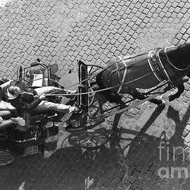 Touristes on Horse Carriage - Rome BW Cityscape Poster by Stefano Senise