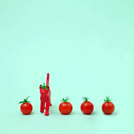 Toy Cat Painted Like A Tomato In Row by Juj Winn