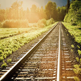 Train Tracks by Arnold Media