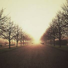 Treelined Path In The Fog, Regents by Cirano83