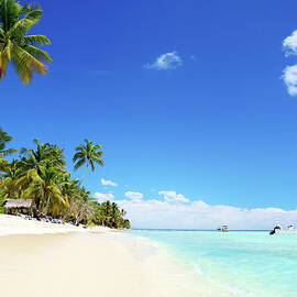Tropical, Empty  Beach, Saona Islands by Gerisima