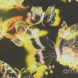 Tropical glow by Jorgo Photography