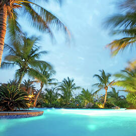 Tropical Swimming Pool by Nikada