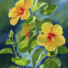 Tropical Yellow Orange Hibiscus with Background by Randy M