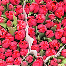 Tulips For Sale At A Flower Market by P A Thompson